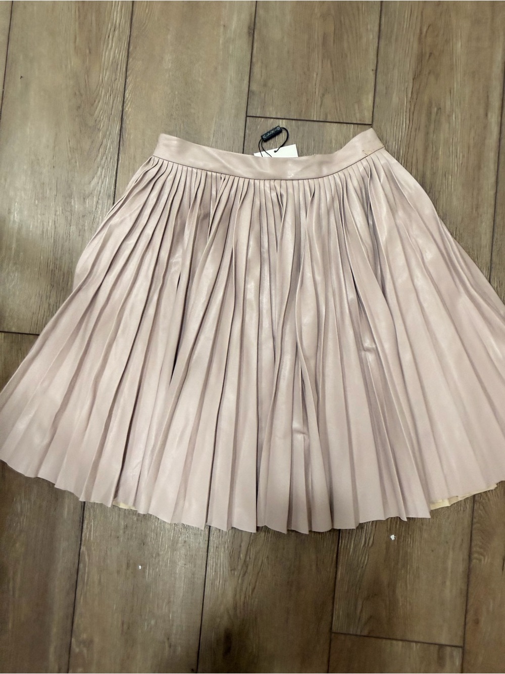 Alexis Blush Pleated Satin Circle Skirt 0555